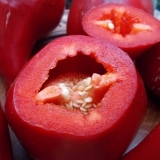 Lesya paprika: opis, produktivnost